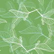 Leaves contours on green background. floral seamless pattern