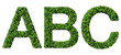 A B C alphabet letters made from green leaves isolated on white.
