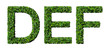 D E F alphabet letters made from green leaves isolated on white.