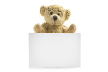 Teddy Bear With Blank Board