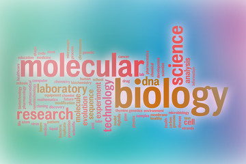 Wall Mural - Molecular biology word cloud with abstract background