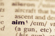 Dictionary definition of word aim