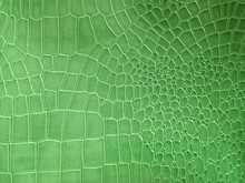 Crocodile Skin Pattern