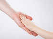 © zest_marina - Hands of a child and a father touching each other