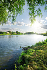Wall Mural - grass near river