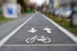 © Diego Barbieri - pista ciclabile