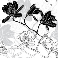 Monochrome  seamless  background with magnolia.