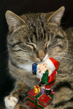 Cat With Santa Toy