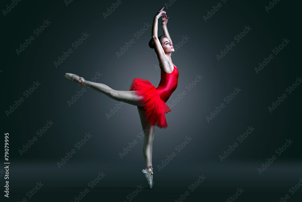 Ballet Dancer - obrazy, fototapety, plakaty 