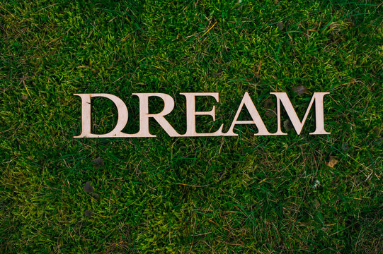 Wooden letters dream