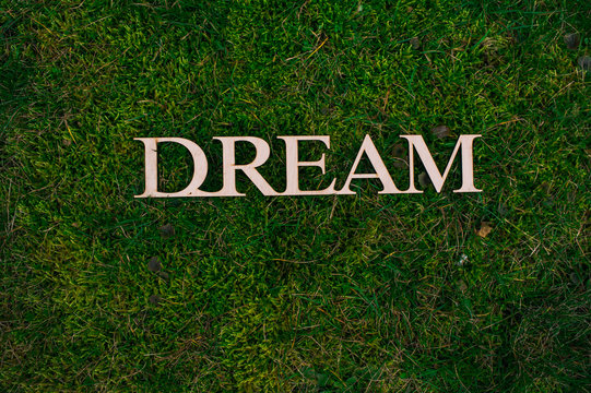 Wooden letters dream