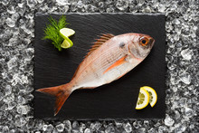 Fresh Red Snapper Fish On A Black Stone Plate Top View