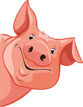 Pig Peeking Out From The Left - Vector Illustration