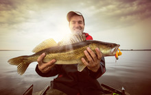 Happy Angler With Zander Fishing Trophy