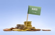 Flag of Saudi Arabia in a stack of coins.(series)