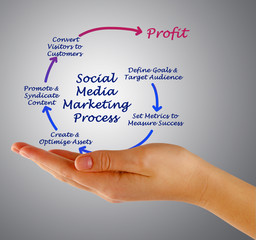 Canvas Print - Social Media Marketing process