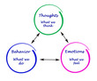 Relationship between cognition, emotions, and behavior