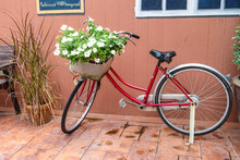 Red Bicycle With White Flower In Front Basket