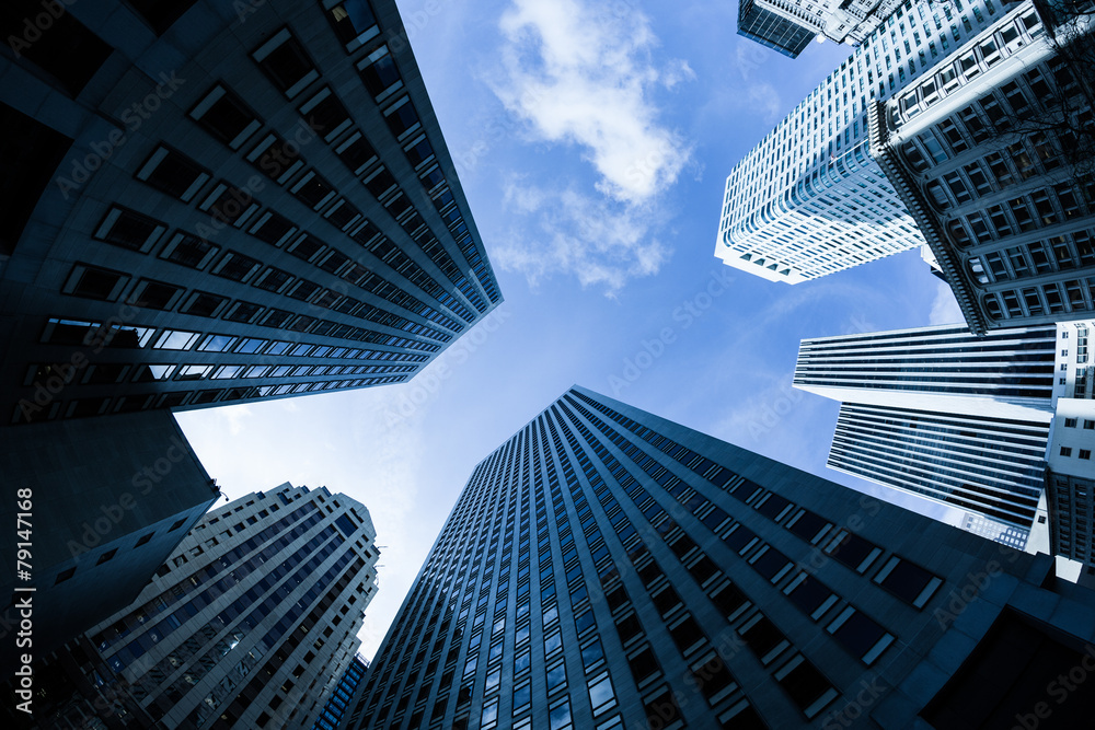 Skyscrapers in Downtown San Francisco