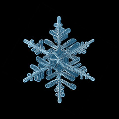 Wall Mural - snowflake crystal black background