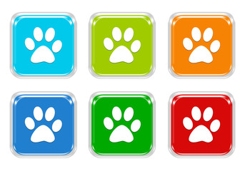 Wall Mural - set of squared colorful buttons with pet footprints symbol