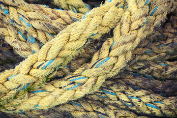 Yellow nautical rope, close-up background texture