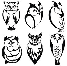 Isolated Owl Birds In Tattoo Style