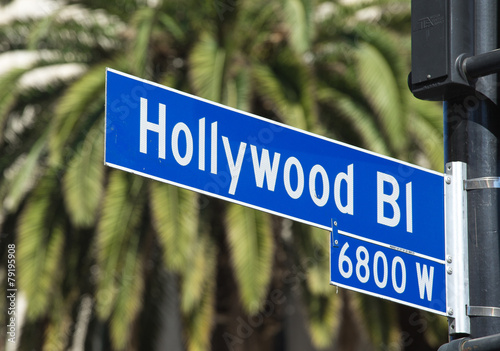 Fotografie, Obraz Hollywood Blvd street sign in Los Angeles