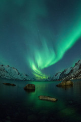 Wall Mural - northern lights above a lake