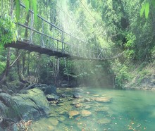 Rope Bridge Over A River In The Jungle