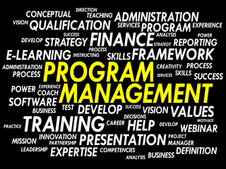 Wall Mural - Program Management word cloud, business concept