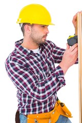 Poster - Handyman using measure tape on wooden plank