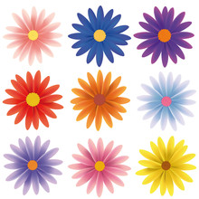 Isolated Vector Flower Collection