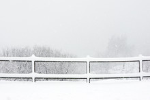 Winter Landscape With Fence