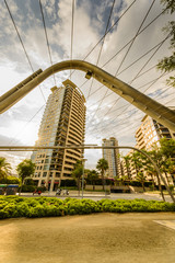 Wall Mural - Modern office buildings skyscrapers street view