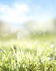 Canvas Print - Grass and blurry sky. Spring scene