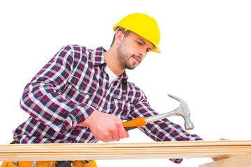 Poster - Handyman using hammer on wood