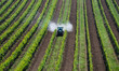 canvas print picture - Traktor sprueht Pestizide im Weingarten