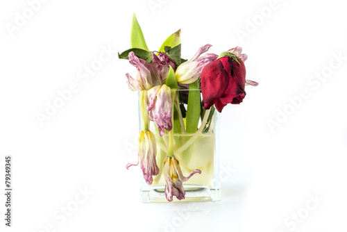 A Vase Full Of Withered And Dead Flowers Buy This Stock Photo