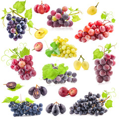 Poster - Collection of grapes with leaves, Isolated on white background