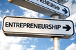 © gustavofrazao - Entrepreneurship direction sign on sky background