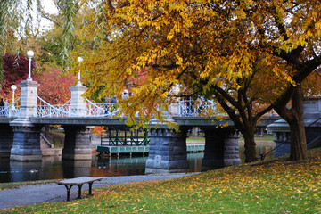 Wall Mural - Boston Public Garden..