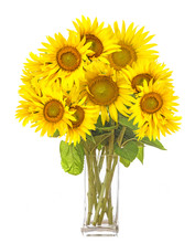 A Big Bunch Of Sunflowers In A Vase