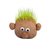 Head With Grass