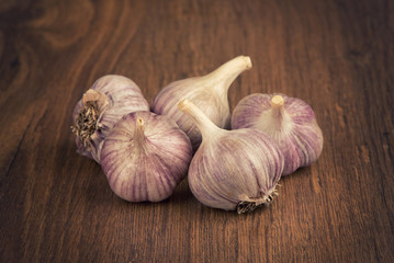 Canvas Print - Garlic