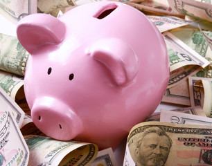 Wall Mural - piggy bank standing on dollars