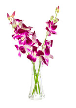 Bouquet Of Purple Orchids In Glass Vase