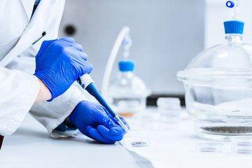 Senior male researcher carrying out scientific research in a lab