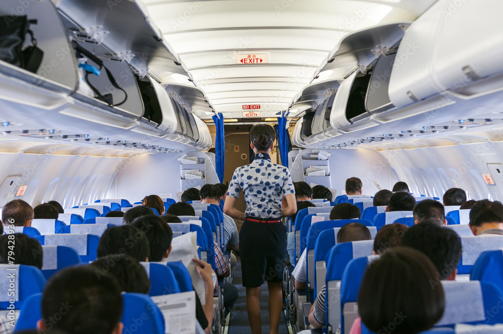 beautiful flight attendant on board of big plane - obrazy, fototapety, plakaty 
