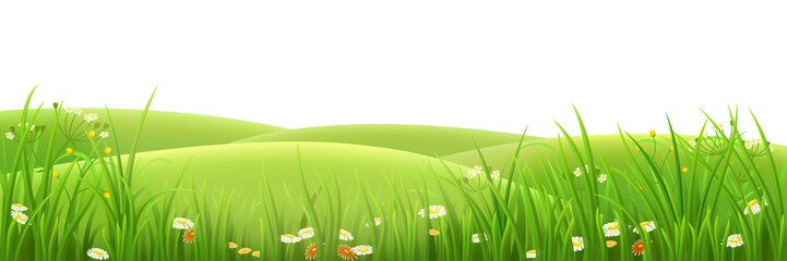 Meadow, green grass and flowers , vector illustration